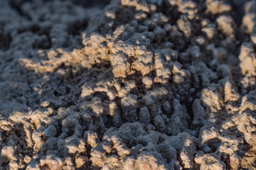 sandstone close-up macro shot