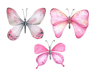  Watercolor butterflies in pink colors.
