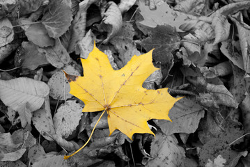 Autumn sadness