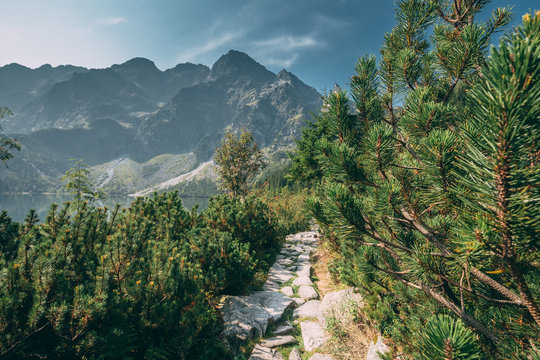Fototapeta Tatra National Park, Poland. Trail Near Mountains Lake Morskie Oko Or Sea Eye Lake In Summer Morning. Five Lakes Valley. Beautiful Scenic View. European Nature