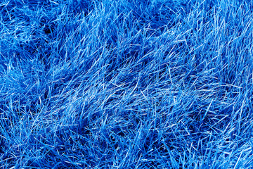 Blue grass top view wallpaper, template for design with space for text