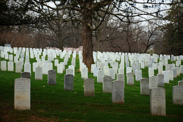 Arlington, Virginia - March 26 2017: Arlington National Cemetery with rows of tomb stones on green grass