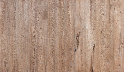 High-resolution oak texture for CG