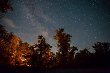 Fototapeta premium night camping scene, touristic camp fire in a night forest under starry sky with milky way