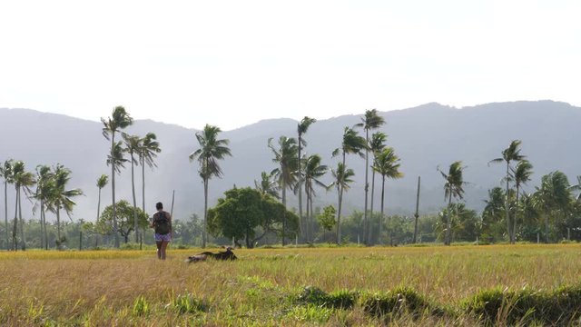 Asian woman shoot photos in rice fields in San Vincente, Palawan, Philipinnes