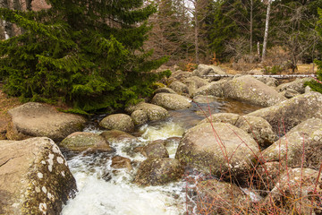 Stone river, scree, in Vitosha massif, Sofia, Bulgaria.