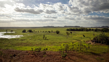 Swamp at Northern Territory at evening light with hills and clouds at the sky as background at the...