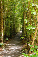 Obraz premium plantes