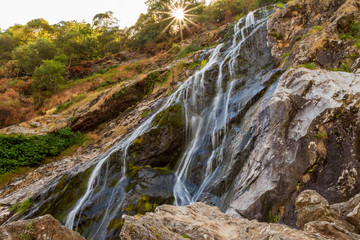 Fototapeta na wymiar Flowing waterfall in forest