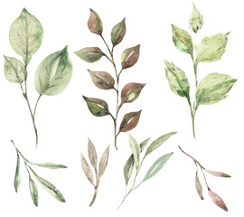 branch of tree with green leaves and flowers seamless pattern