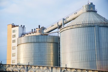 plants tanks big tank