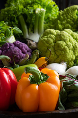 Large baking pan with fresh mixed colourful vegetables