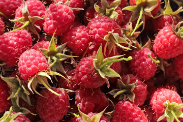 Background. Ripe, juicy, sweet, red, raspberry. Close up. Summer