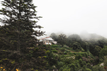 Fototapeta premium house surrounded by nature in the mountain and fog