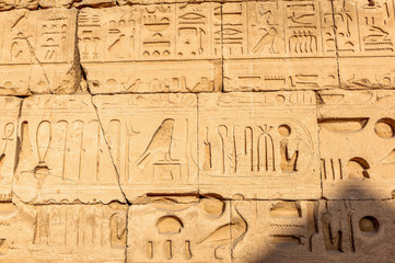 Fototapeta na wymiar Wall with egyptian hyerogliphs