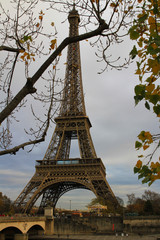 A snapshot of the Eiffel Tower with tree foliage in the foreground