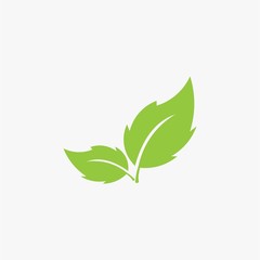 Leaves icon vector isolated on white background.