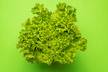 Bunch of green fresh salad on green background