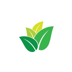 Leaves icon vector isolated on white background.