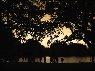 Blurred silhouettes of people by the lake at night surrounded by tall trees