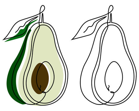 Two ripe avocado halves turned to the side, drawn by a solid inextricable line with colored substrates on one and without them on the other on a white background. Vector.