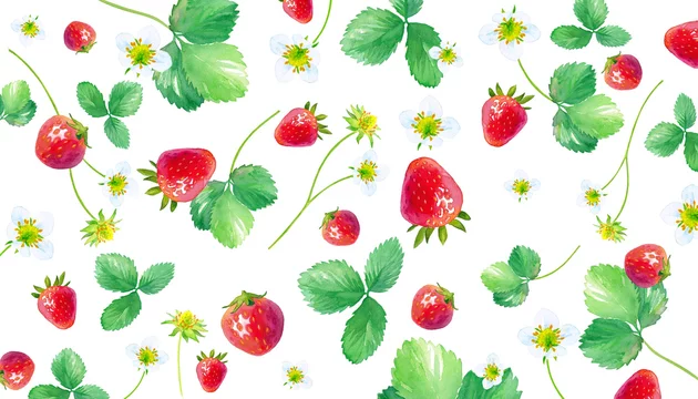 イチゴの水彩イラスト 葉と花と実をちりばめたパターン Stock イラスト Adobe Stock イチゴの水彩イラスト 葉と花と実をちりばめたパターン Stock イラスト Adobe Stock