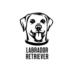 Labrador retriever head drawing. Vector illustration.
