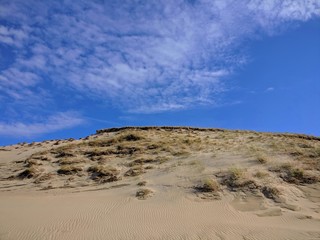 Dune in a desert and a blue sky with white clouds