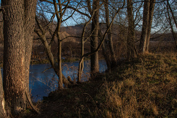 Frozen river in the forest at the beginning of December, Russia
