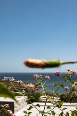 Beautiful nature in Paros island in Greece