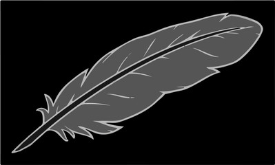 Feathers photos, royalty-free images, graphics, vectors & videos