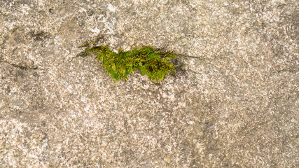 Stone rock texture. Nature,  grunge texture, background. Long web banner