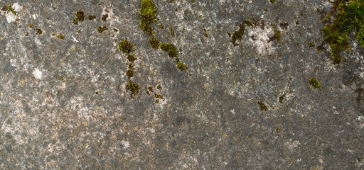 Stone rock texture. Nature,  grunge texture, background. Long web banner