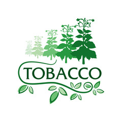 Vector logo for natural tobacco products, goods