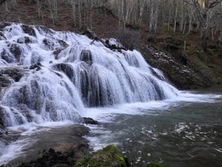 Obraz premium waterfall in forest