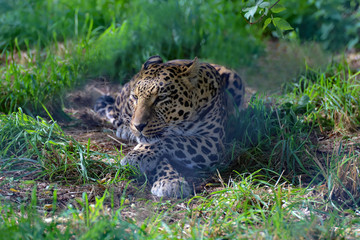 Détente et méditation 