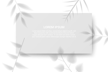 Elegant web banner template