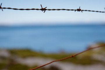 barbed wire against blue sky
