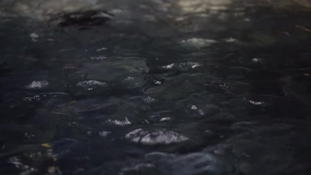 Close up of fast flowing water sloshing from basin of waterfall at night - Fresh stream generating eco friendly hydropower energy -  plunge pool, outdoors nature and cave lagoon waves concept