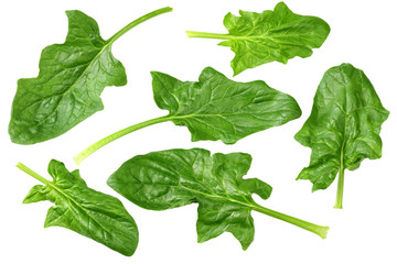 spinach leaves isolate on white background. Healthy food. Top view.