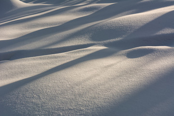 tracks in snow - 308312909