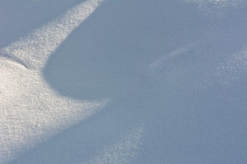 Shadow of a tree in the snow on a winter day - 308312927