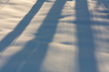 tracks in snow - 308313351