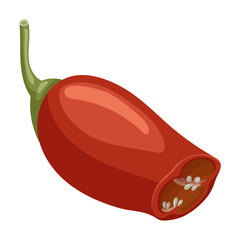 Spicy pepper vector icon.Cartoon vector icon isolated on white background spicy pepper .