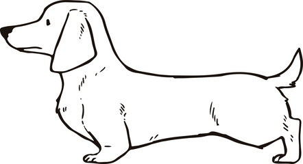 Smooth haired dachshund Outlines