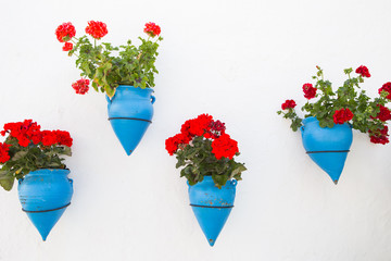 macetas azul con geranios rojos