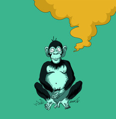 3 monkeys hand draw set 