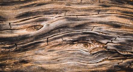 old wood texture plank backround