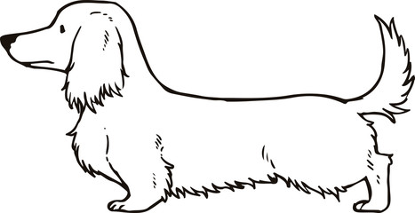 Long haired dachshund Outlines
