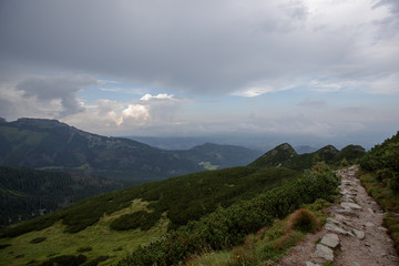 Naklejka premium view from the mountain